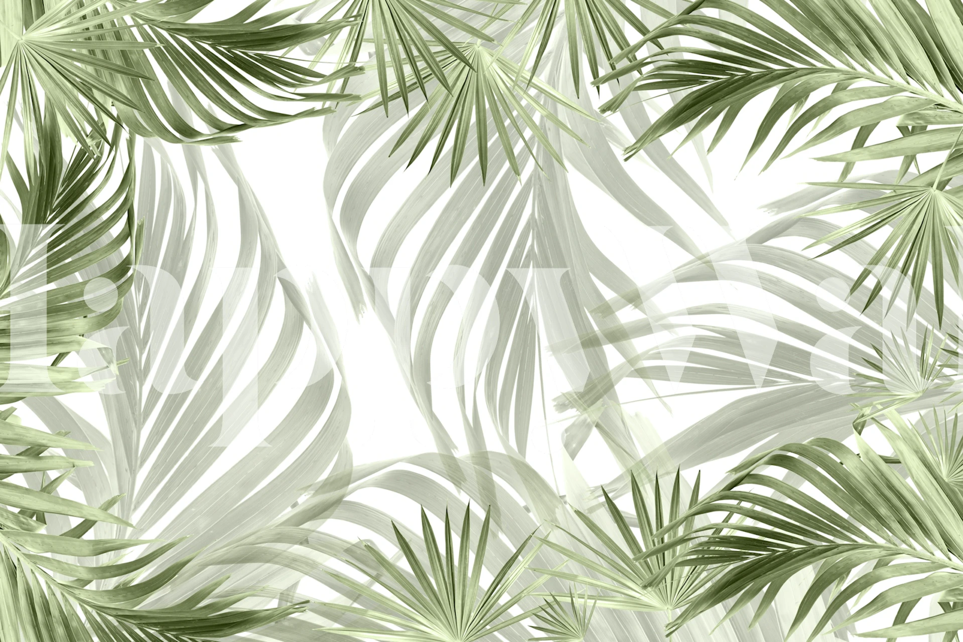 Green Palm Bliss 1 tapetti huoneessa