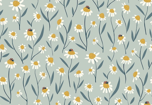 Daisies land with ladybugs