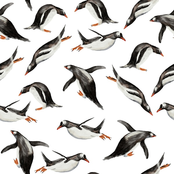 Antarctic Penguins Glide Grace