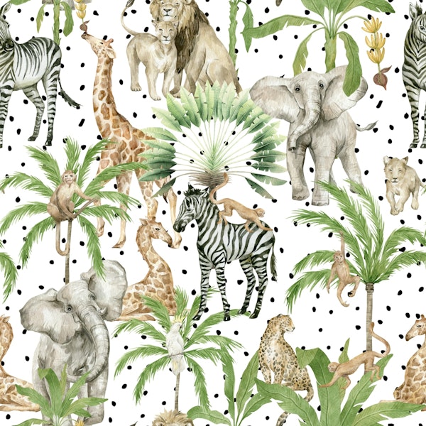 African Wilderness Nursery