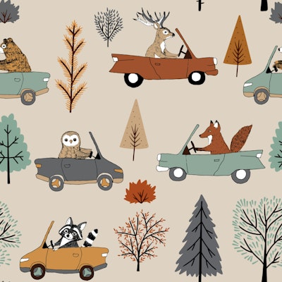 Pattern