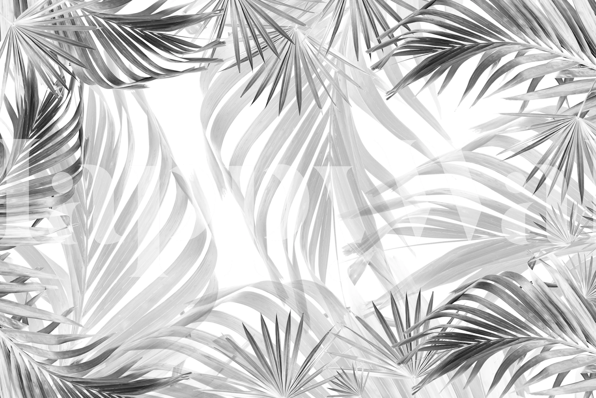 Monochrome Palm Bliss 1 wallpaper in een kamer