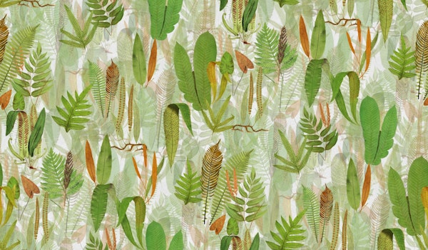 Eden in light green orange