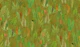 Eden in mustard green orange