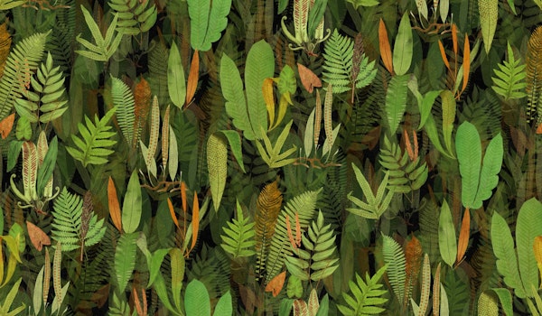 Eden in green orange black
