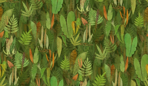 Eden in dark olive green orange