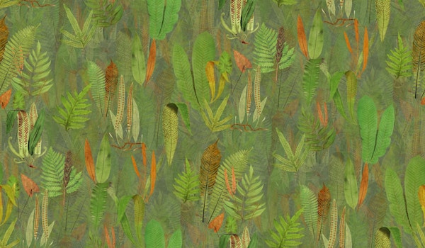 Eden in sage green orange