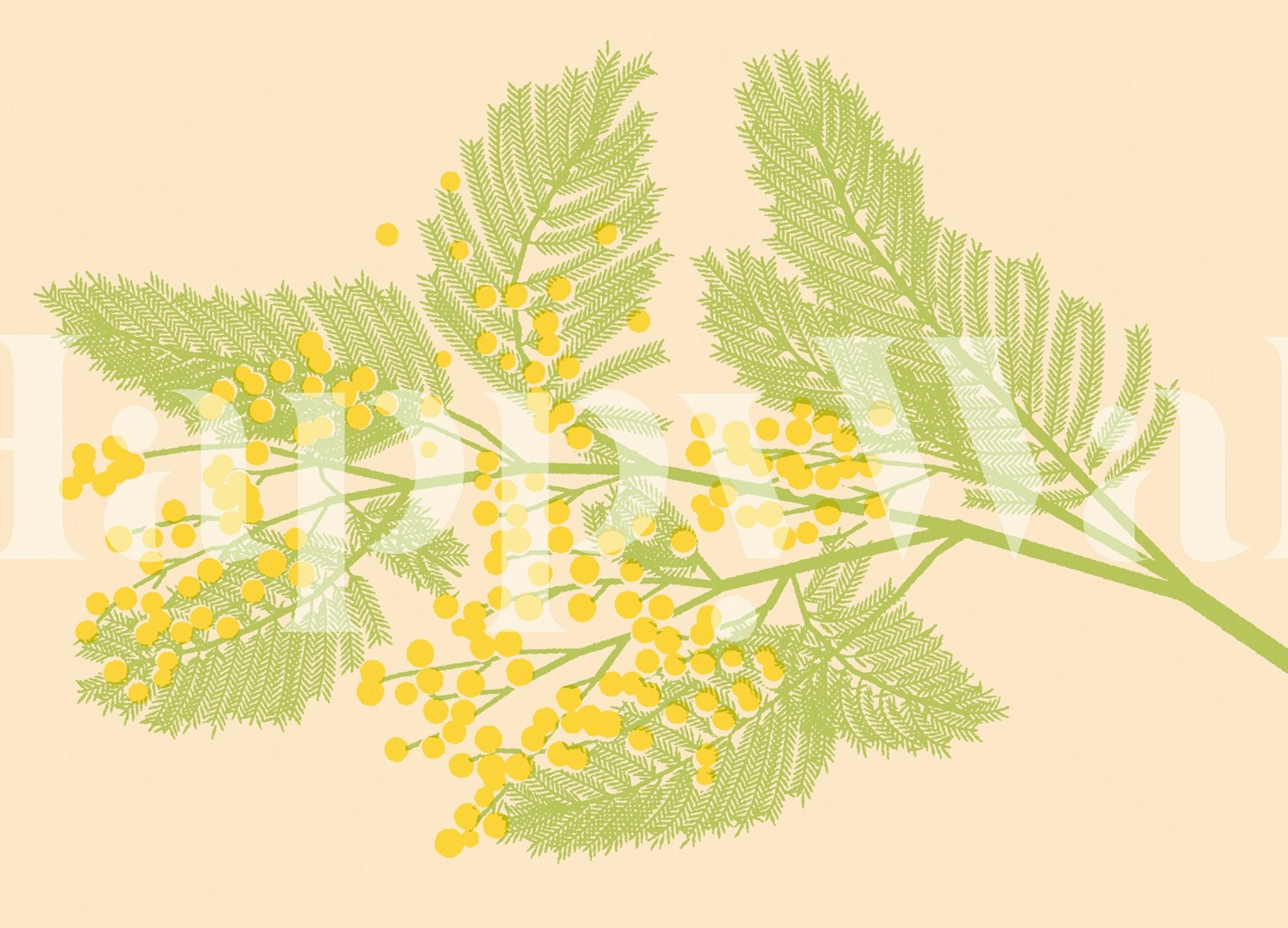Mimosa Blossom wallpaper in a room setting