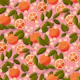 Citrus Delight on Pink