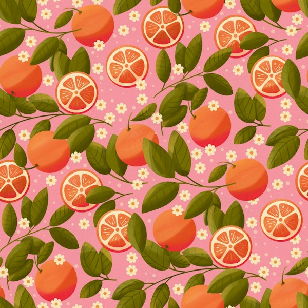Citrus Delight on Pink