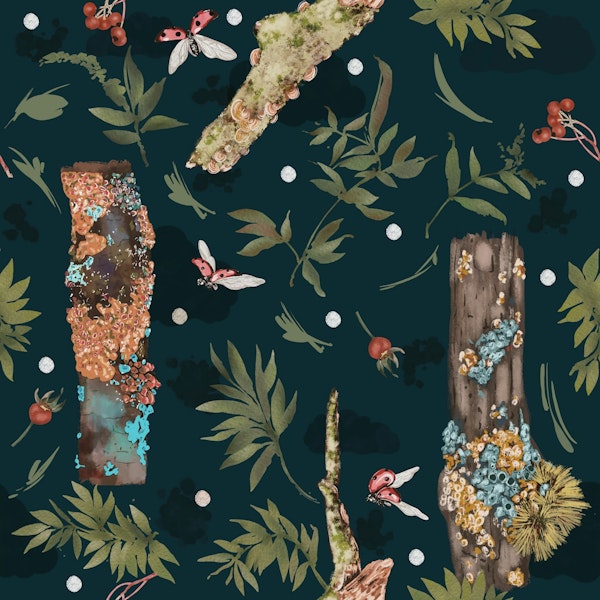 Mystic Woodland Scene