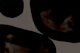 Shapes brown