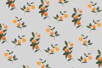 Sunkissed Oranges on Gray ταπετσαρία