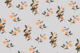 Sunkissed Oranges on Gray