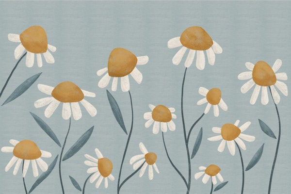 Serene Daisy Meadow