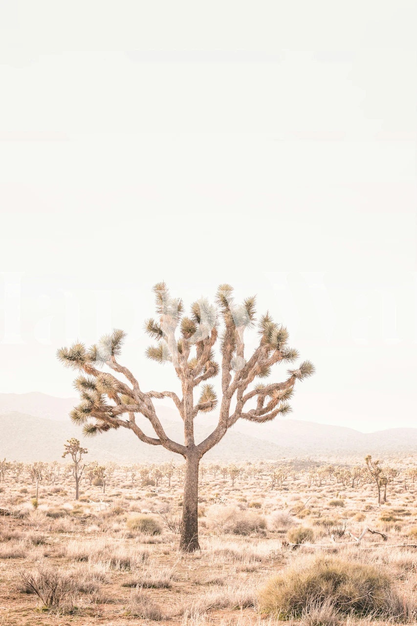 Yucca wallpaper displayed in a room