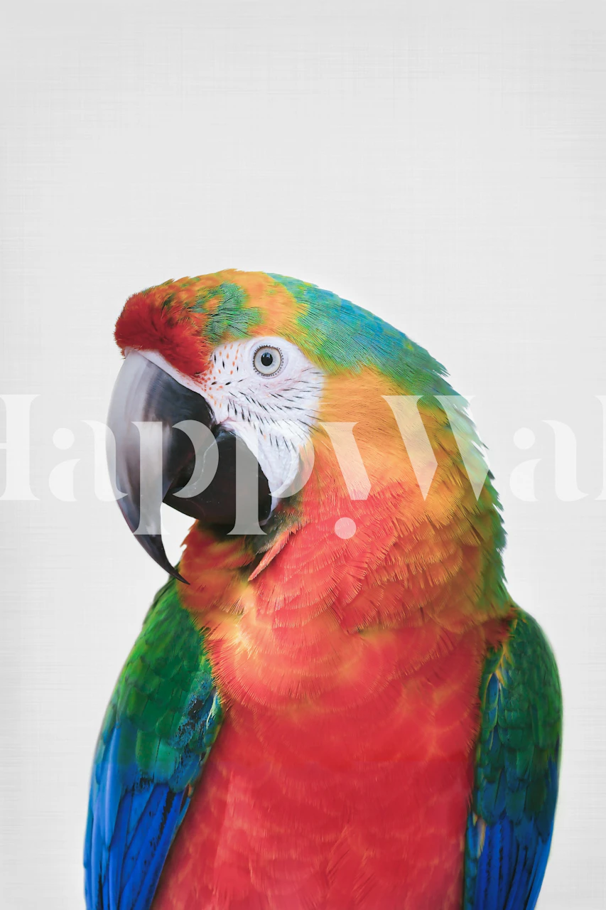 Vibrant parrot portrait with colorful feathers on a light background wallpaper