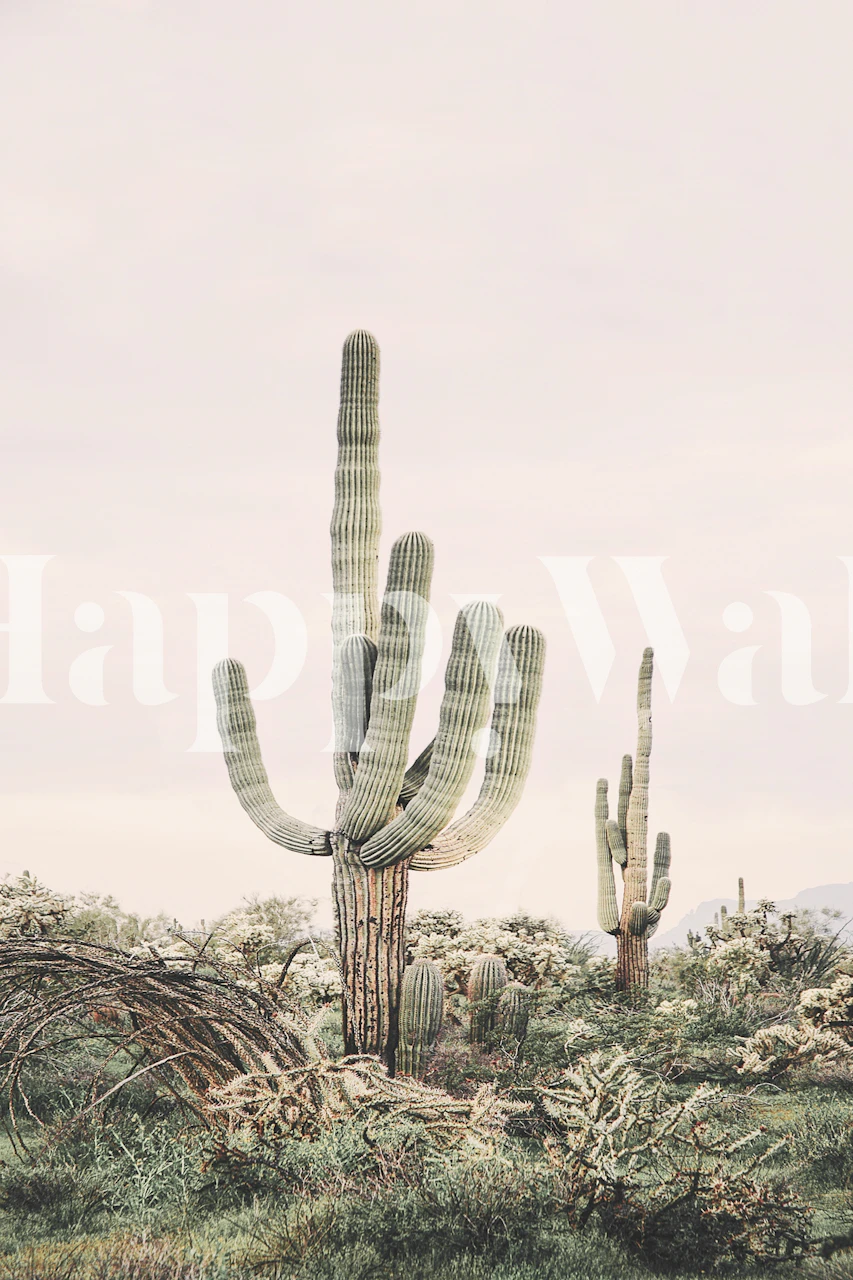 Desert Saguaro Blush wallpaper in a room