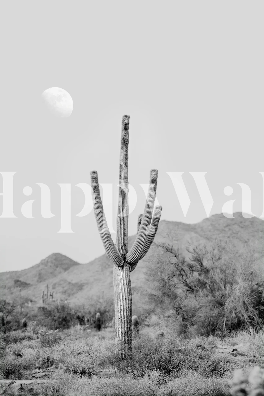 Saguaro cactus silhouette against a moonlit sky in black and white wallpaper