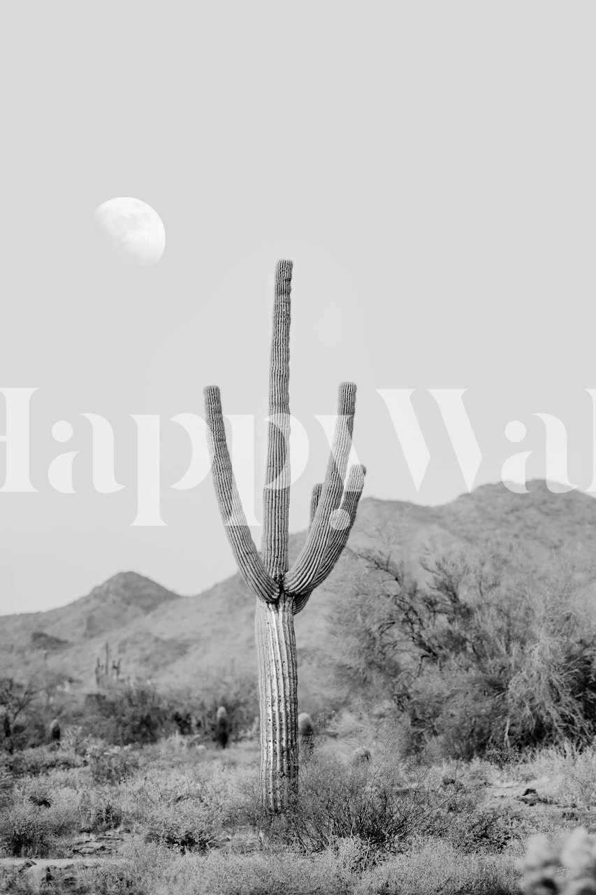 Saguaro cactus silhouette against a moonlit sky in black and white wallpaper