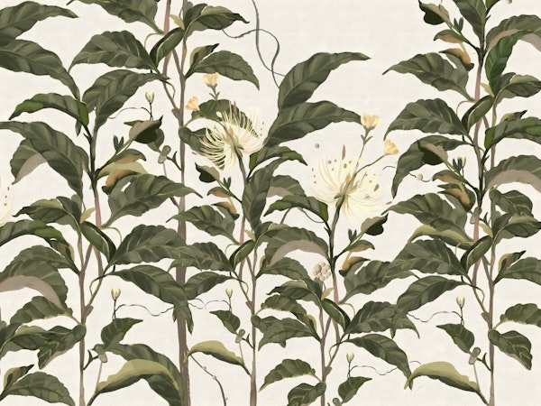 Vintage Botanic View