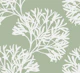 Gentle Swing - Sage Green 1