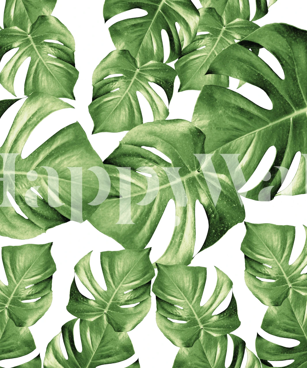 Monstera Leaves wallpaper design in a room