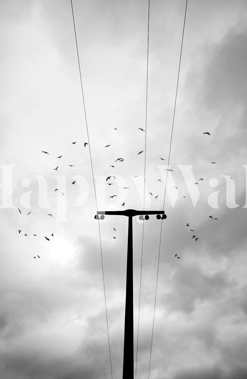 Uccelli che volano in un cielo nuvoloso wallpaper