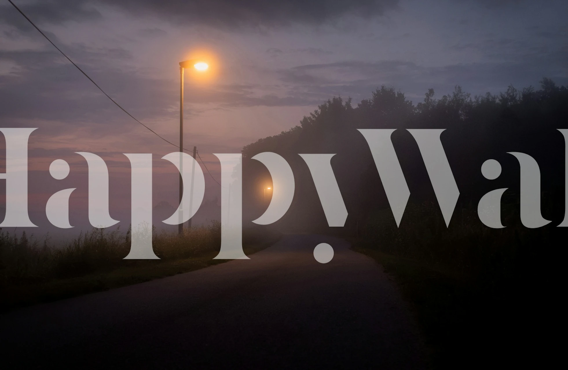 Mystic Road wallpaper in a room