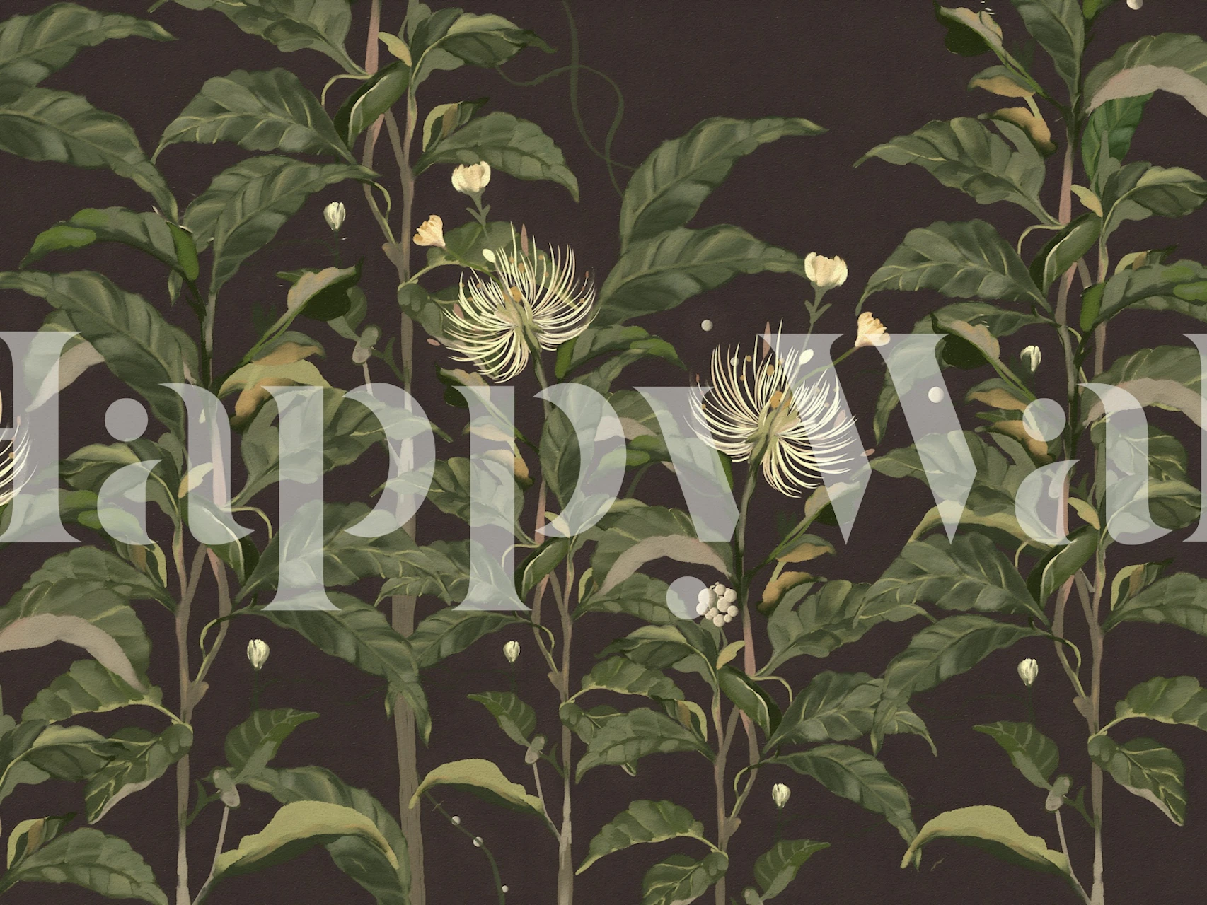 Green floral designs on black background wallpaper