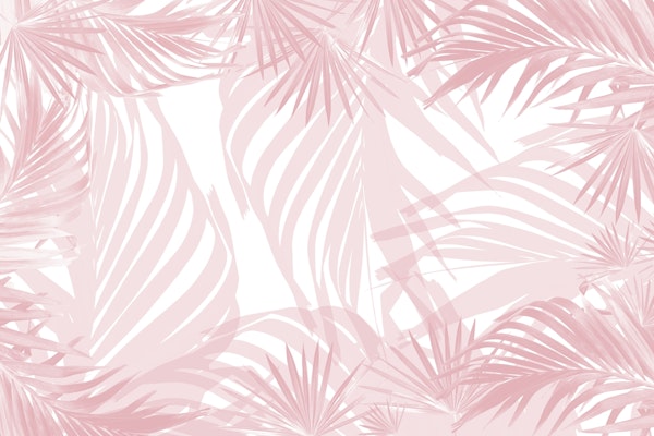 Blush Pink Palm Bliss 1