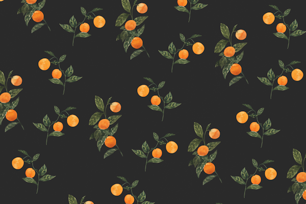 Sunkissed Oranges on Off-Black