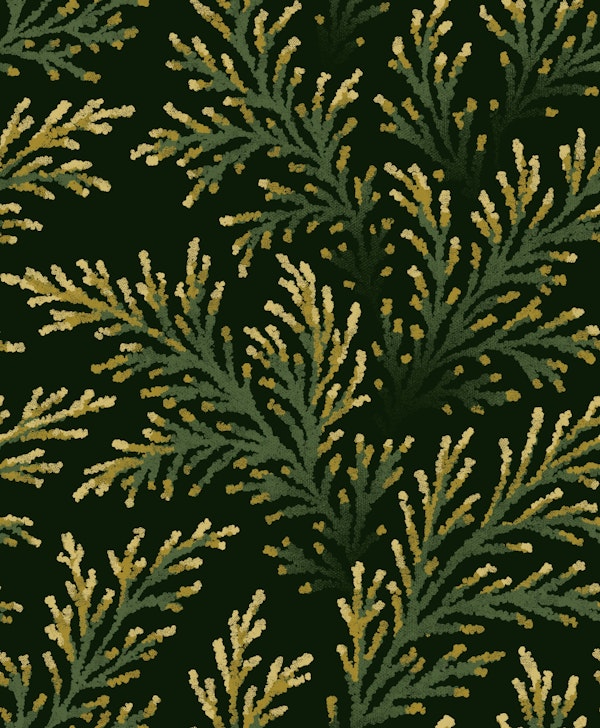 Pine Branches - Olive Green