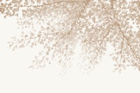 Ginkgo Leaves Dream 6 behang