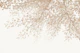Ginkgo Leaves Dream 6