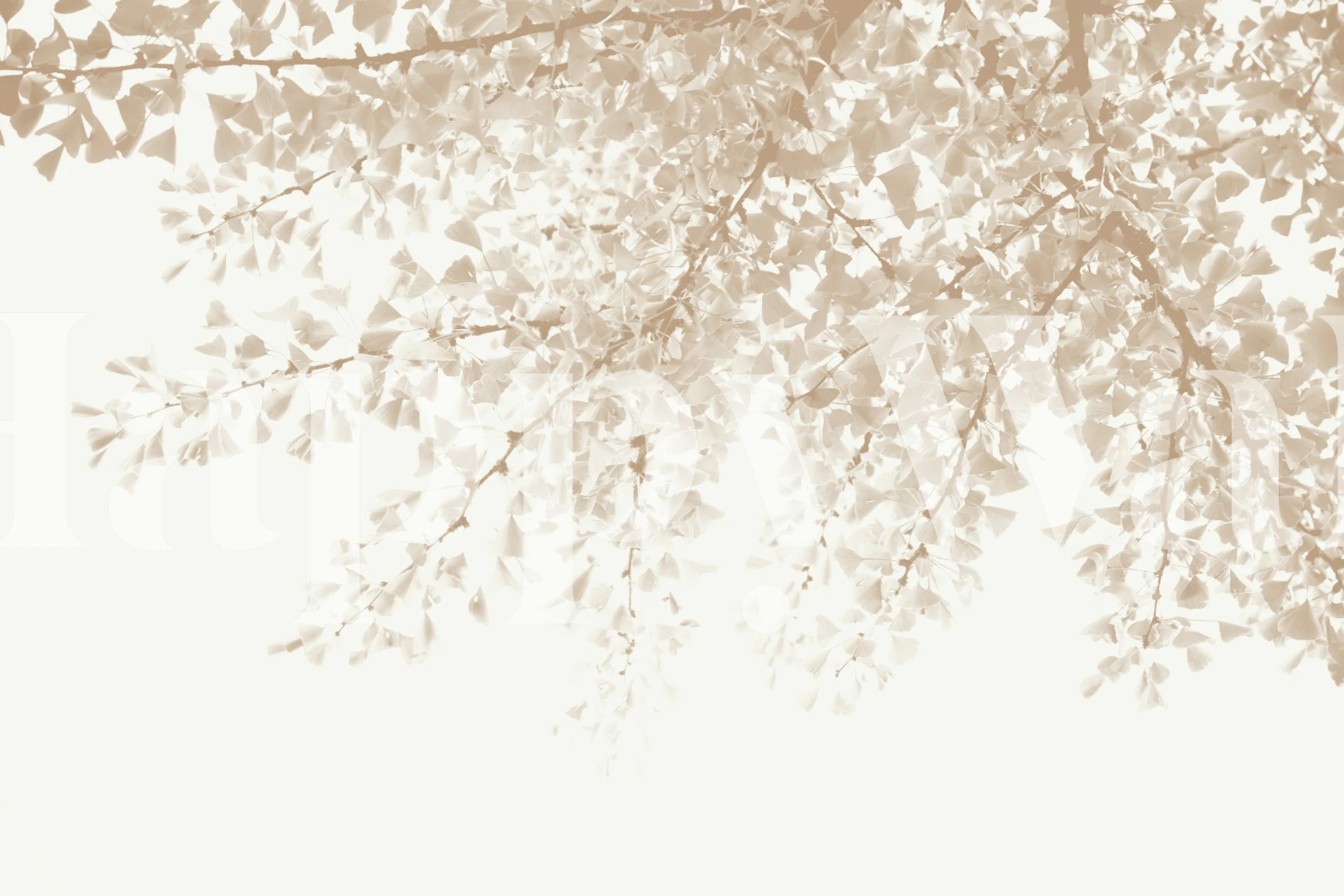 Ginkgo Leaves Dream 6 wallpaper in a room