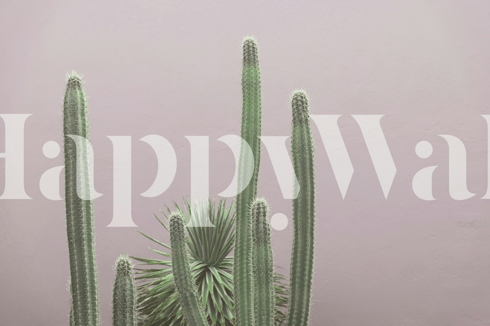 Caribbean Cactus Grove Charm 3 tapet i ett rum