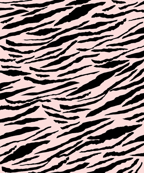 Tiger Animal Print Glam 5