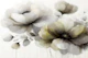 Ethereal Blossoms Art