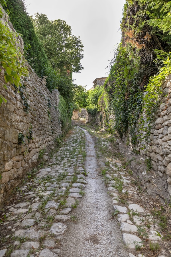 Provence Path
