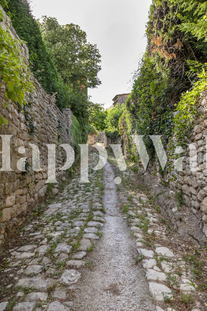 Provence Path wallpaper in a room