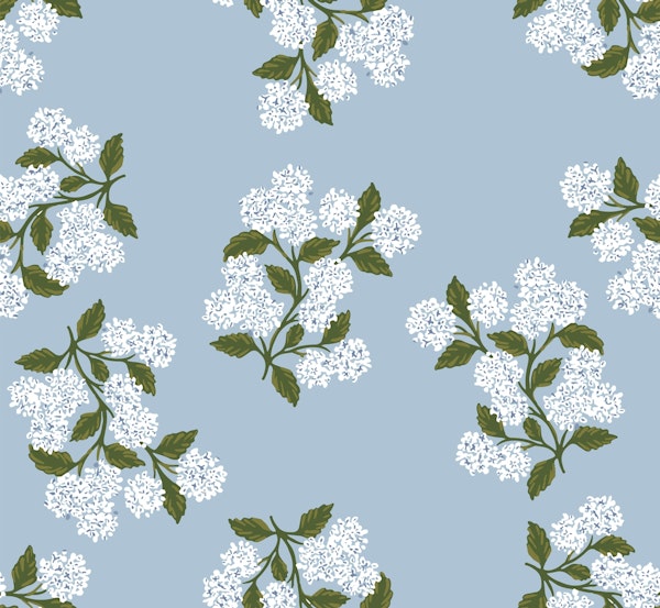 Blue Blooming Hydrangea