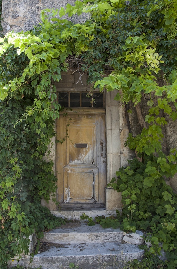Vintage Provence Door