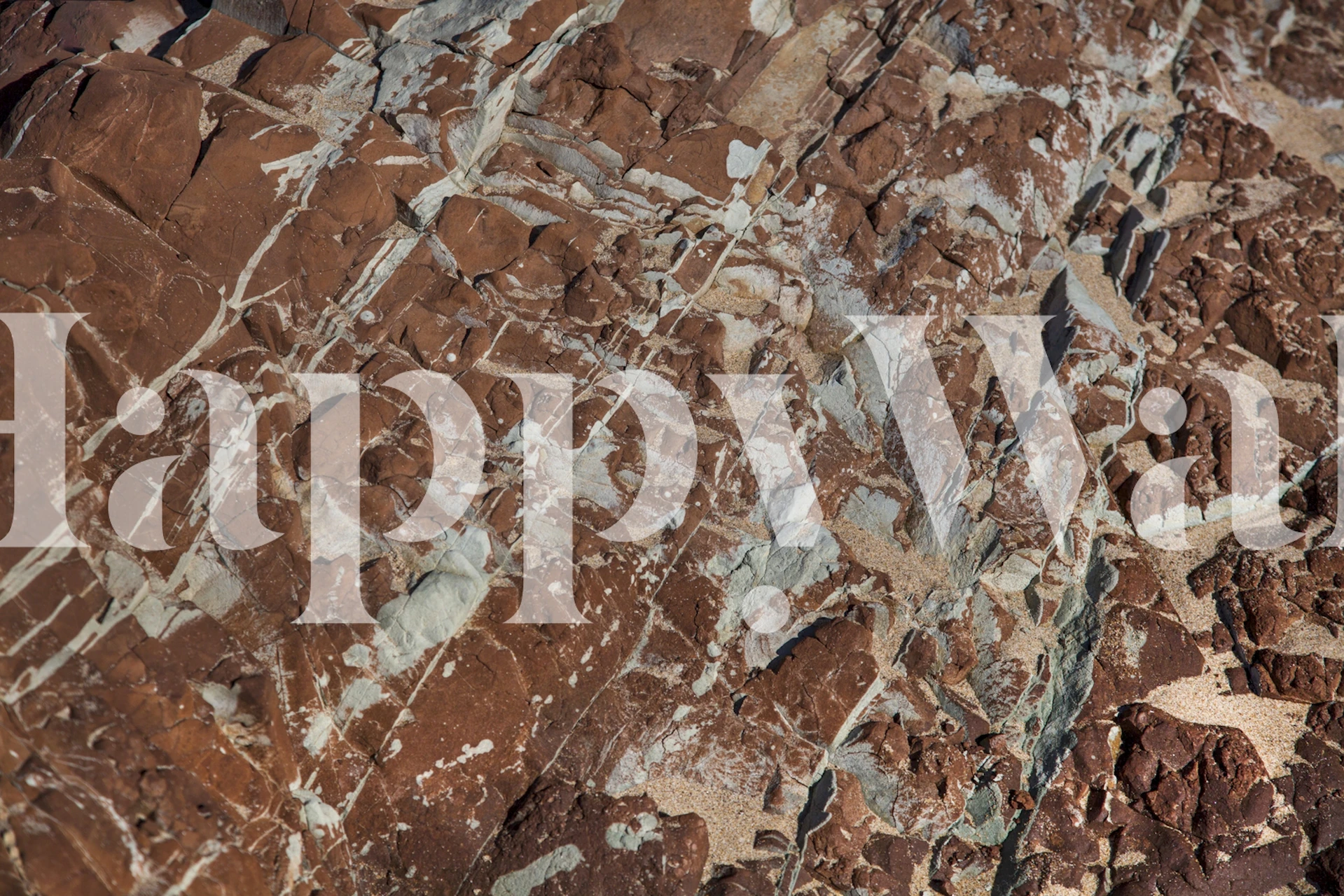 Massive Rock wall mural depicting detailed rocky terrain with rich earthy tones