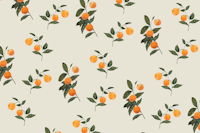 Sunkissed Oranges on Soft Sage ταπετσαρία