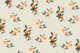 Sunkissed Oranges on Soft Sage