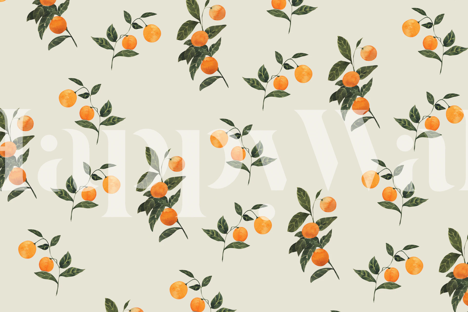 Sunkissed Oranges wallpaper in a room