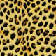Wild Luxe Leopard Charm Yellow