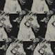 Dramatic horse