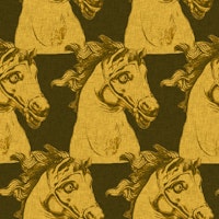 Golden horse portrait papiers peint